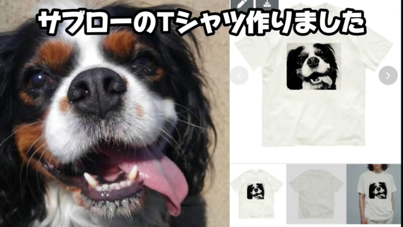 スズリ（SUZURI）ってサイトご存じですか？　オリジナルTシャツ作っちゃいました　