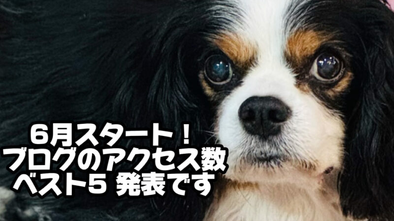 今月もよろしくお願いいたします　恒例のブログのアクセス数ベスト５発表！