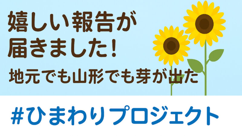 はるか山形からうれしい報告です！　ひまわりプロジェクト進行中　