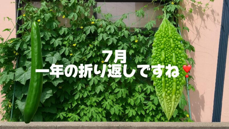 ７月ですね　月初めは恒例のブログのアクセス数ベスト５の発表です！！