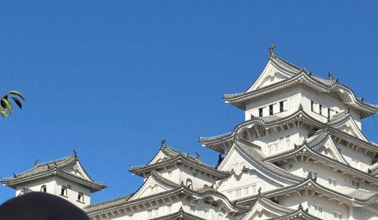 灯台下暗しと言うのかな？　地元にある世界遺産「姫路城」に行って来ました