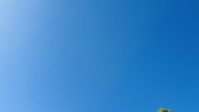 「空が青いな――」　良い季節　虫たちも元気　そして、意外な遭遇⁈