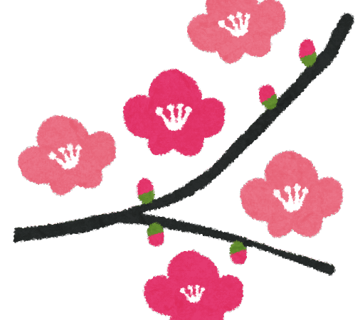 日岡山公園　梅の花を見に行きました！