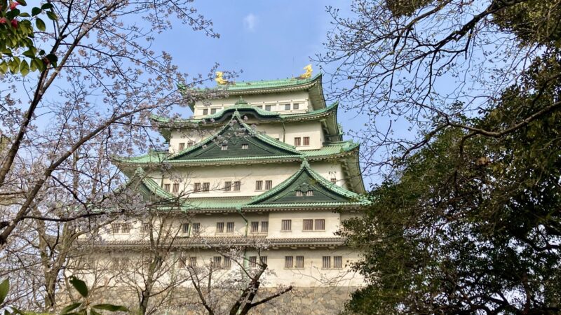 全国高等学校剣道選抜大会、愛知県まで応援に行ってきました(^O^)