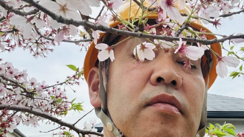 ブログネタがない日こそ見えてくるもの　知らんけど