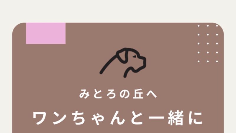 ワンコたまにはノーリードで走らせたい　おすすめですよ　ドッグラン「みとろの丘」