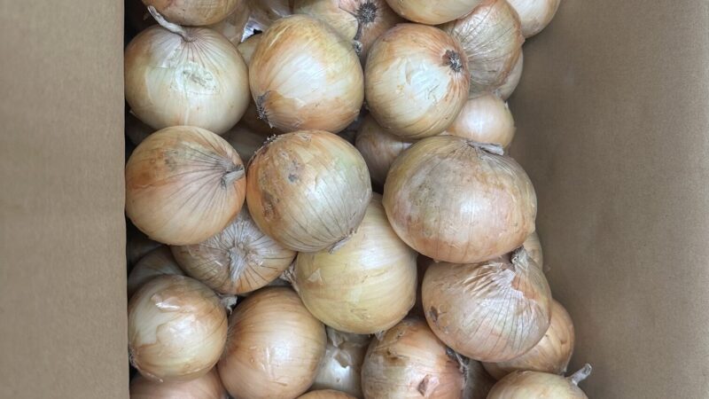 新玉ねぎはどのようにして食べますか？