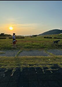 「いい習慣の奴隷になろう」大切にしてる言葉です。　ジュリと早朝散歩　灯台下暗し　地元加古川河川敷に行って来ました。